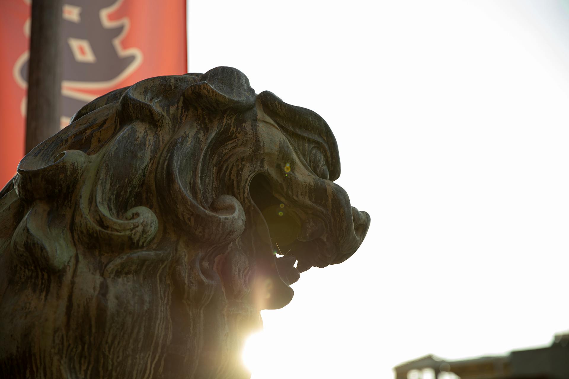 Japanese lion dog statue near shrine on sunny day
