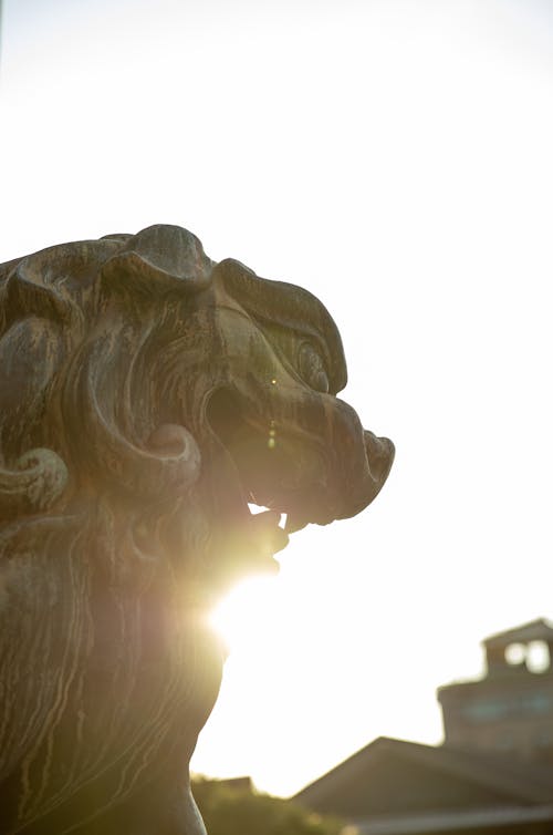 Δωρεάν στοκ φωτογραφιών με komainu, kyoto, shinto