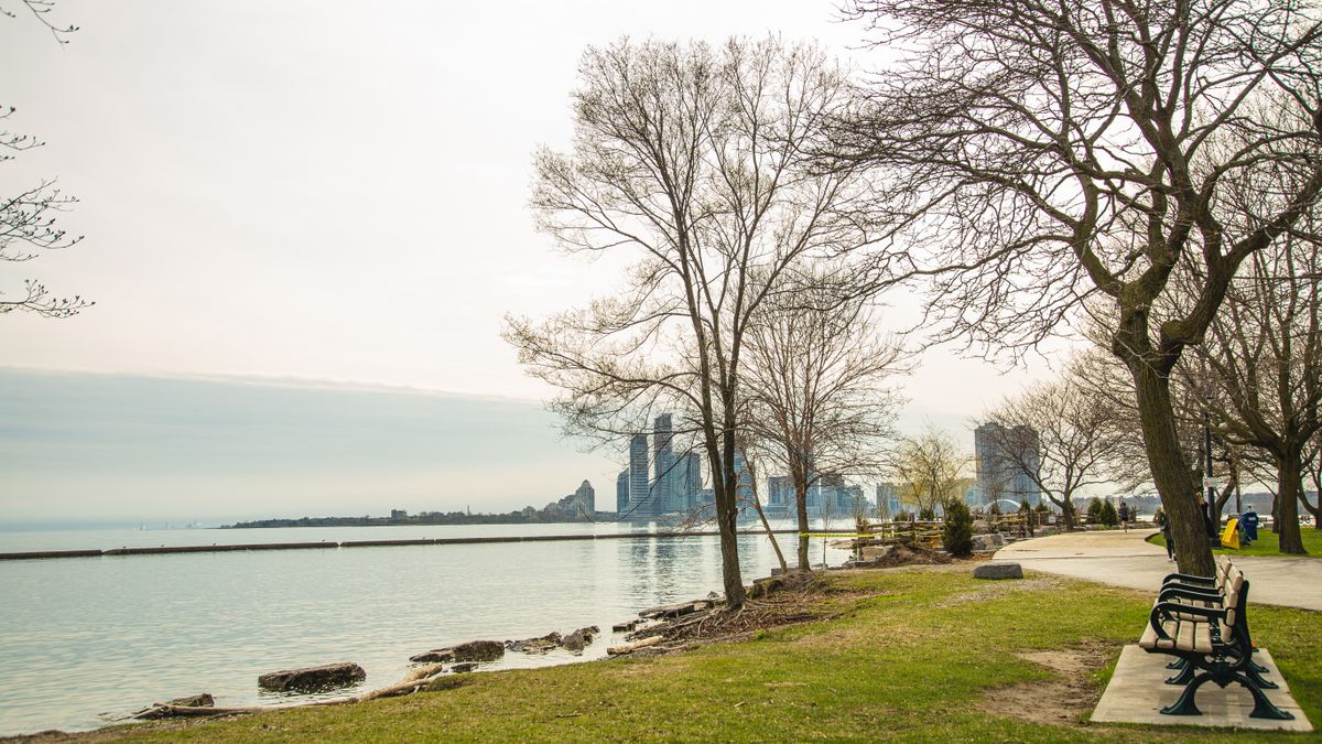 Free Samples in Detroit, MI: Updated 2026 List for Local Winners