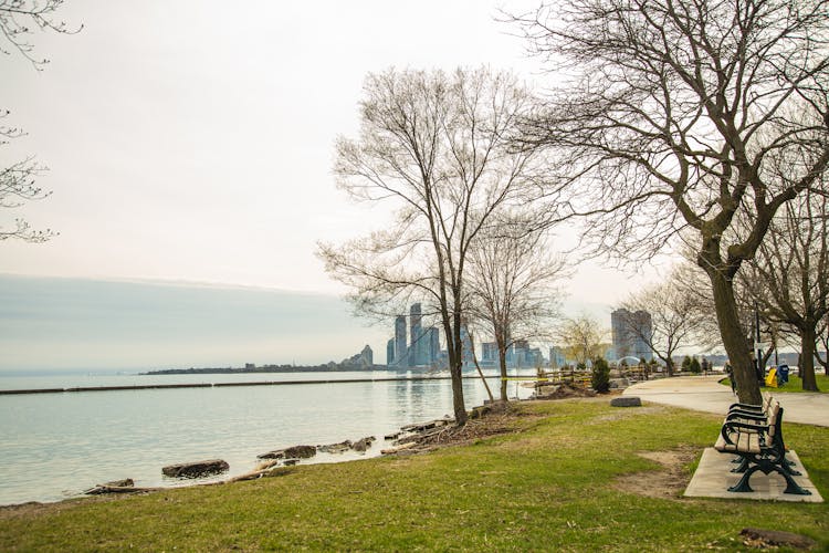 Calm Park On River Shore With View Of Contemporary City Skyscrapers