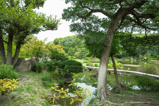 夏日里，一个宁静的花园景观拥有郁郁葱葱的树木、一个小池塘和充满活力的绿色植物