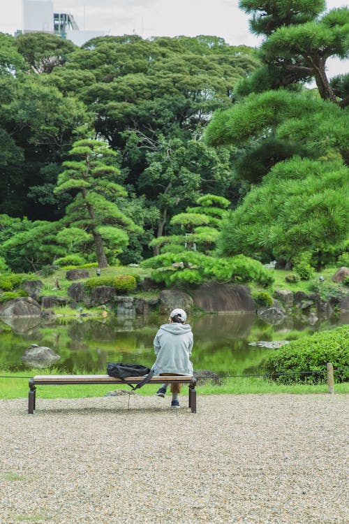 Faceless traveler contemplating pond with trees in botanical garden