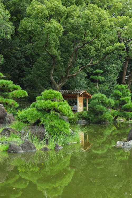 Spectacular view of colorful trees near small house reflecting in pond in botanical garden