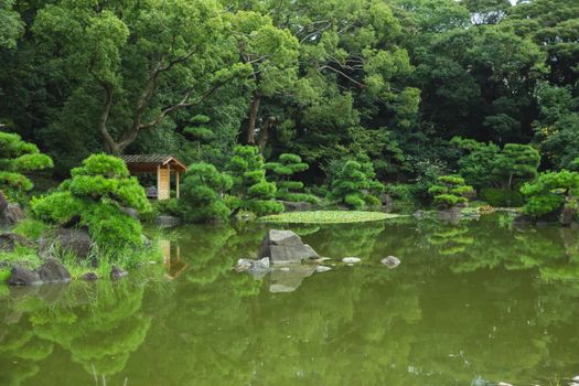 宁静的日本花园景观，郁郁葱葱的绿化和反光的池塘，非常适合营造宁静主题