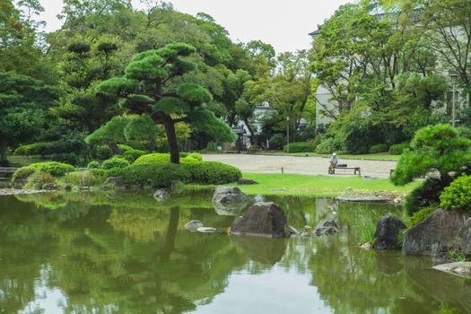 日本花园宁静祥和，绿意葱茏，池塘波光粼粼