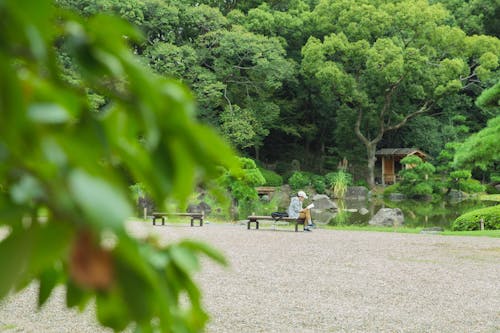 Side view of unrecognizable tourist with crossed legs reading textbook on bench against pond and lush green trees in park