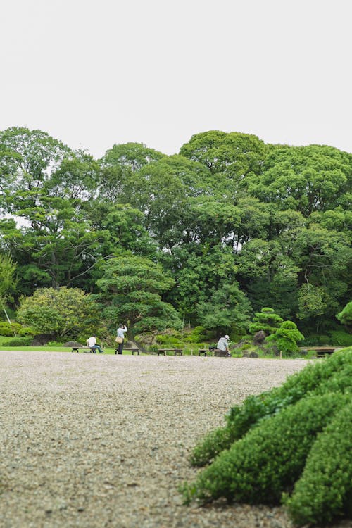 Back view of anonymous travelers resting on benches against pond and overgrown trees in summer park