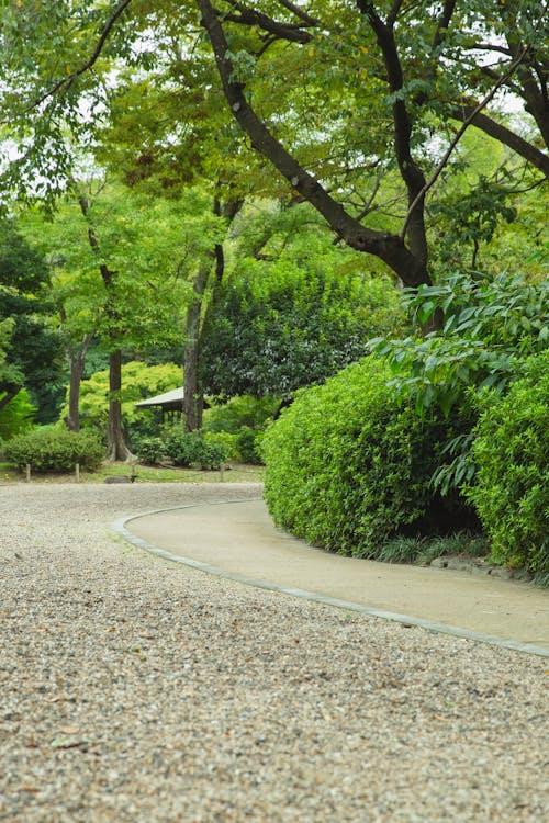 Empty pathway between bright trees and bushes growing in botanical garden on summer day