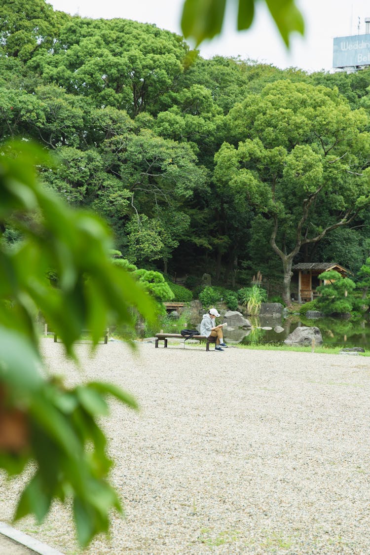 Person Sitting On Bench Among Lush Trees Of Park