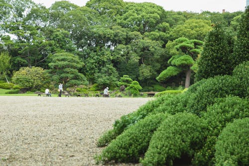 People resting on benches among green plants