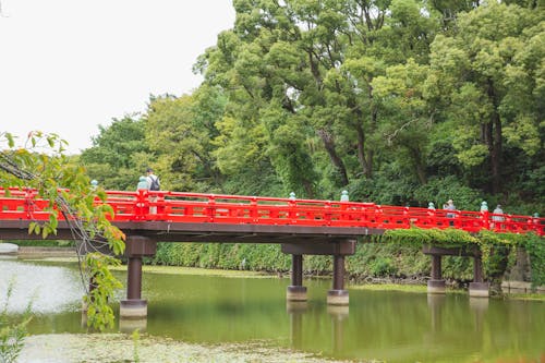 Tourists walking on red bridge crossing green pond located among lush tropical forest in Japan