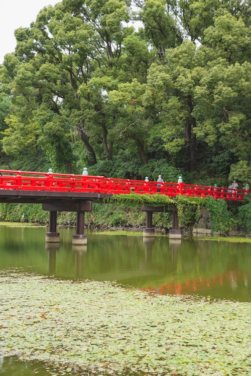 人行天橋, 人行道, 休閒 的 免費圖庫相片