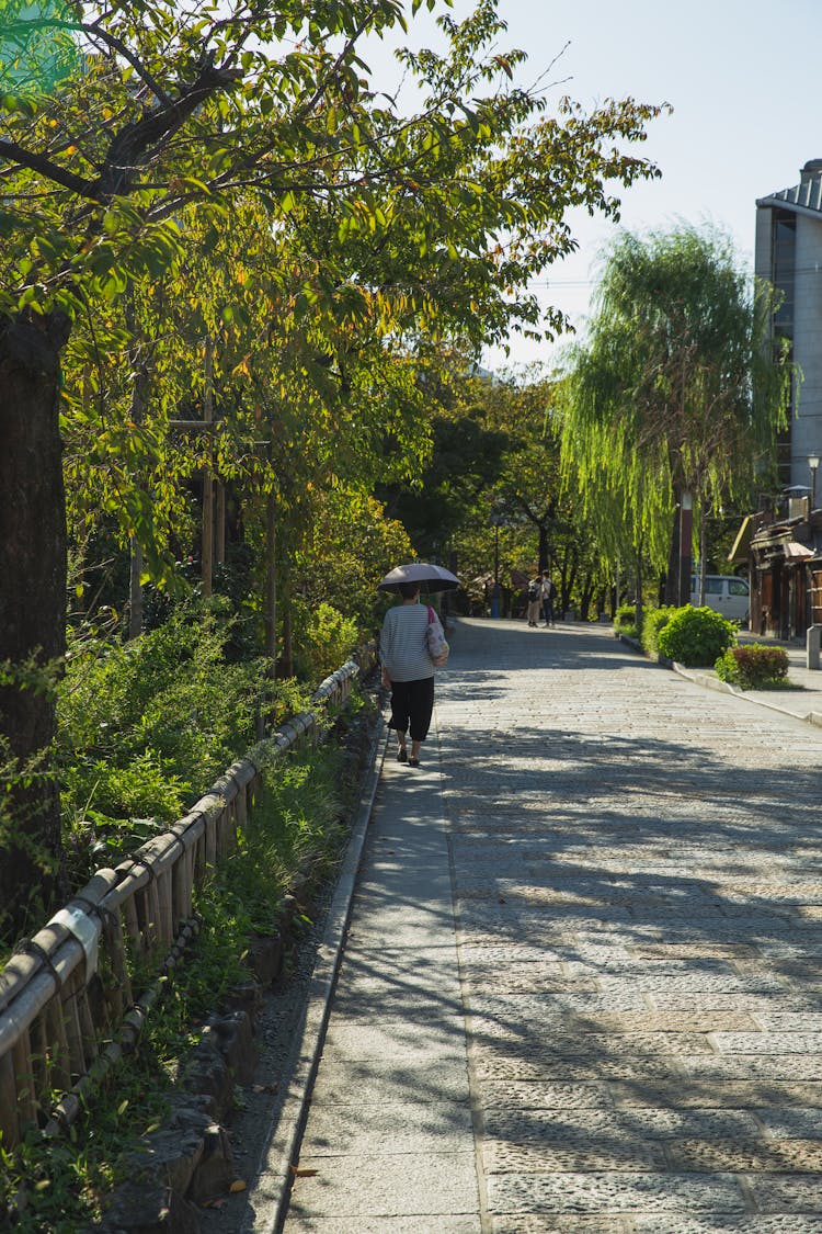 Unrecognizable Female Walking On Path In Green City Park On Sunny Day