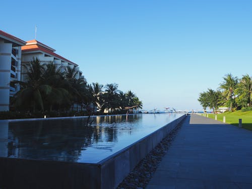 Exterior of modern tropical hotel with swimming pool and lush palm trees in yard located at seaside against cloudless blue sky in sunlight