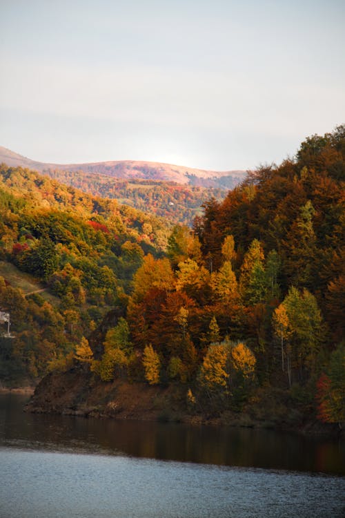 Kostenloses Stock Foto zu aussicht, bäume, berg