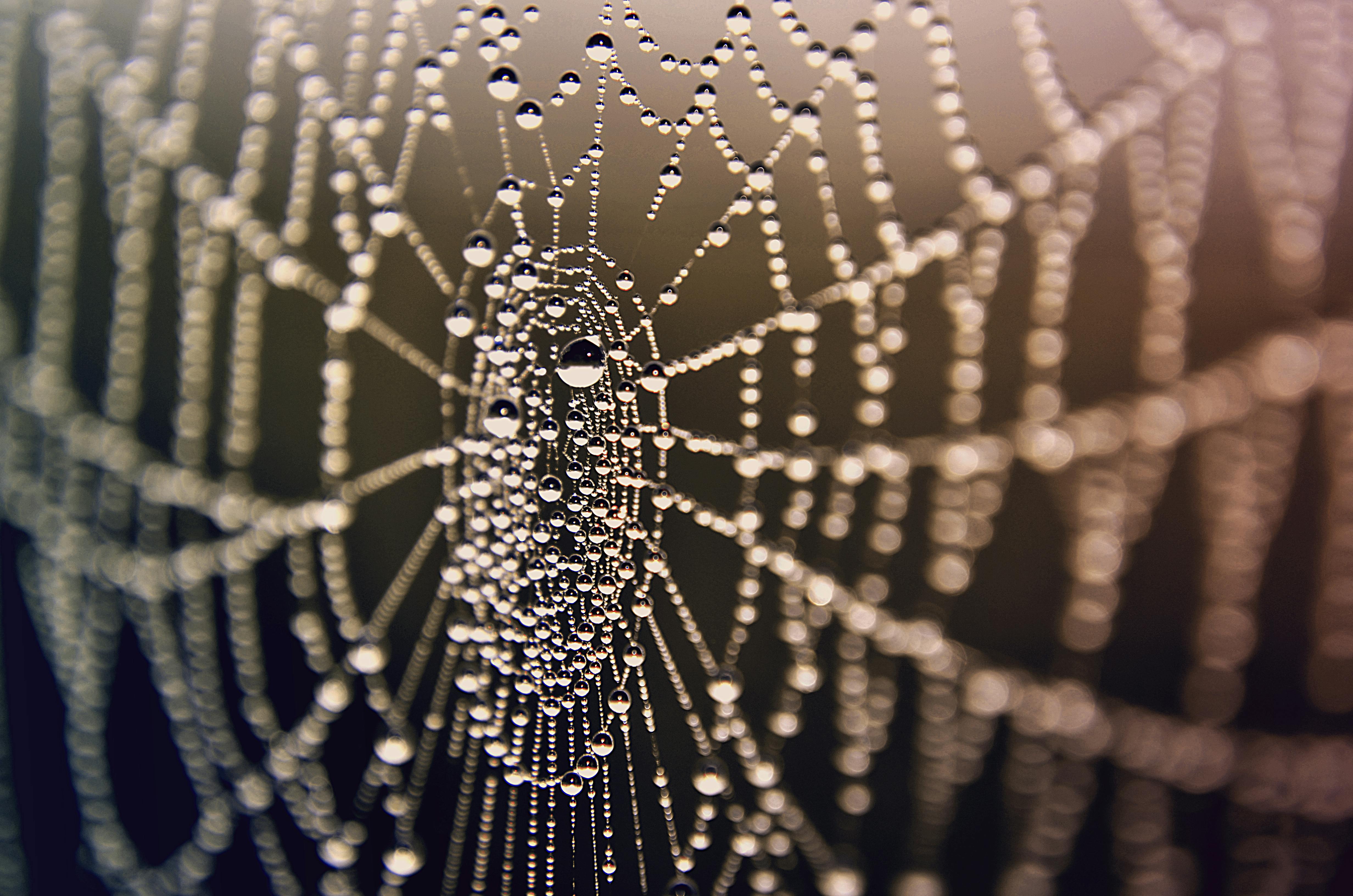 استكشاف قلعة شيلون