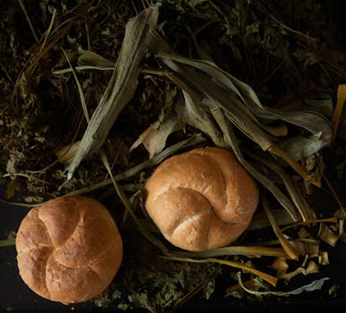 Close-up of bread rolls on a bed of dried leaves, rustic and earthy setting.