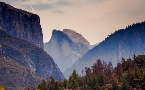 Árvores Verdes Perto Da Montanha