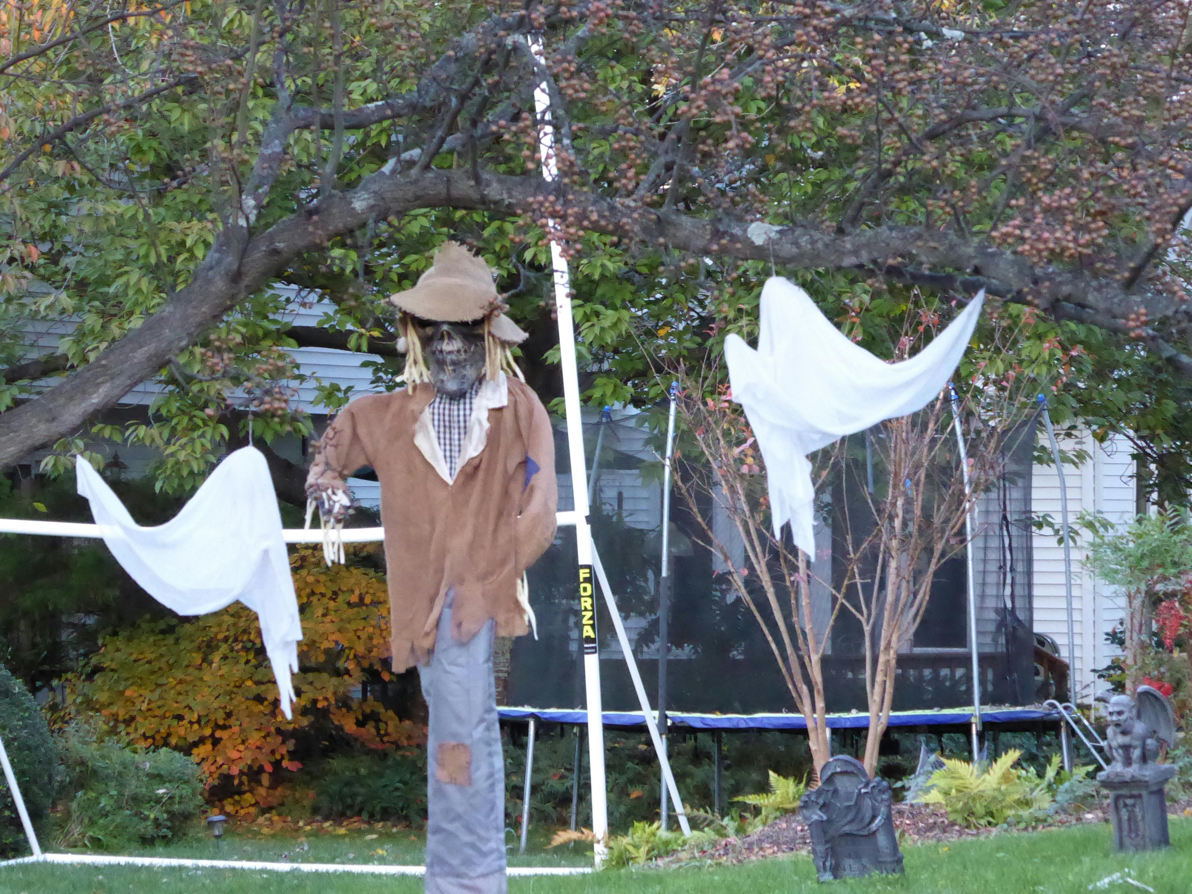 Plants growing in sustainable containers