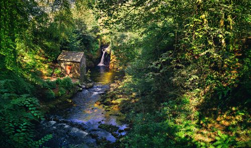 Free A tranquil forest scene with a stone house by a flowing stream under dappled sunlight. Stock Photo