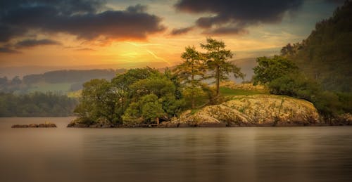 Green Trees Beside the Lake