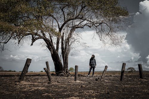 Fotos de stock gratuitas de adulto, al aire libre, árbol