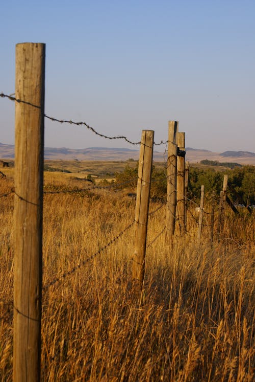 Foto d'estoc gratuïta de estribacions, fenceline, filferro espinós