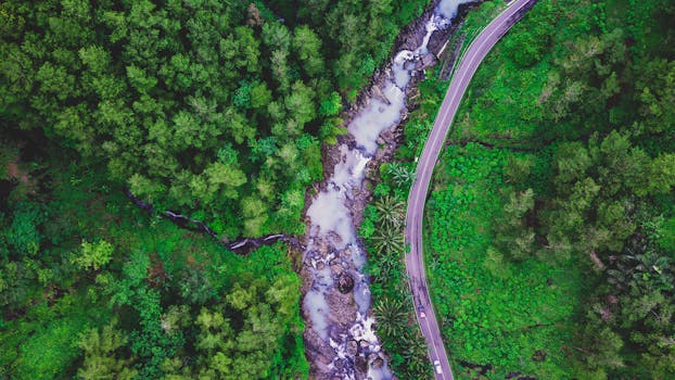 Aerial shot of a lush forest with a winding river and road in Jawa Tengah, Indonesia.