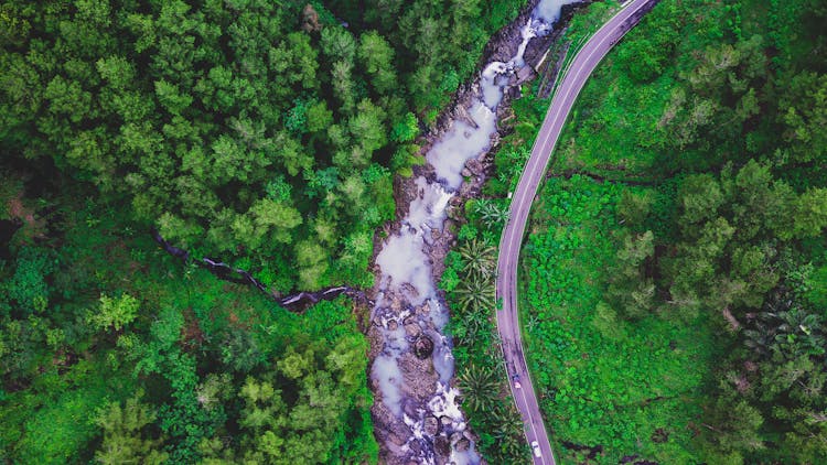 Drone Shot Of A Curved Road