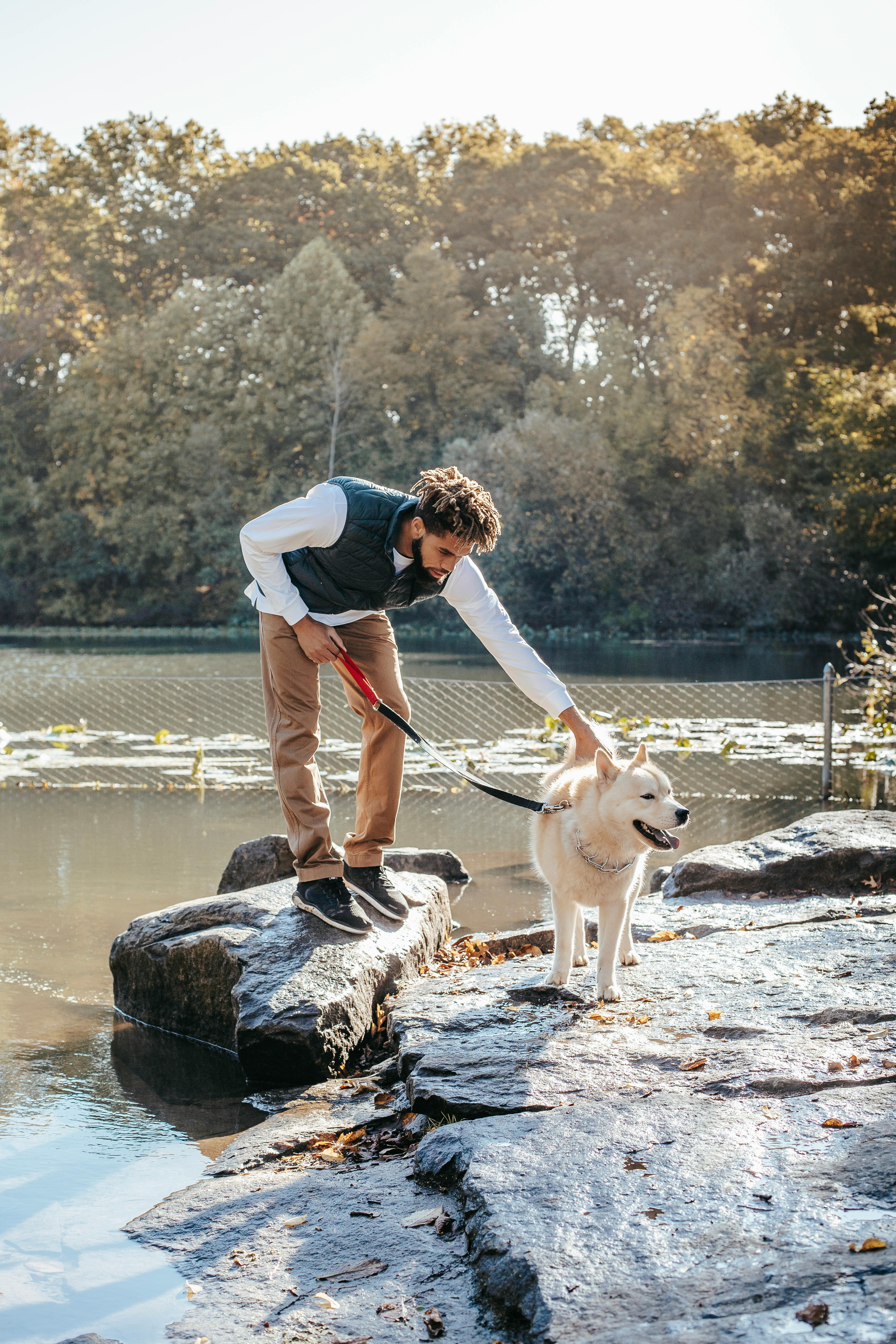 阳光明媚的日子里，一个男人带着狗在池塘边宁静地散步，捕捉着户外的秋叶