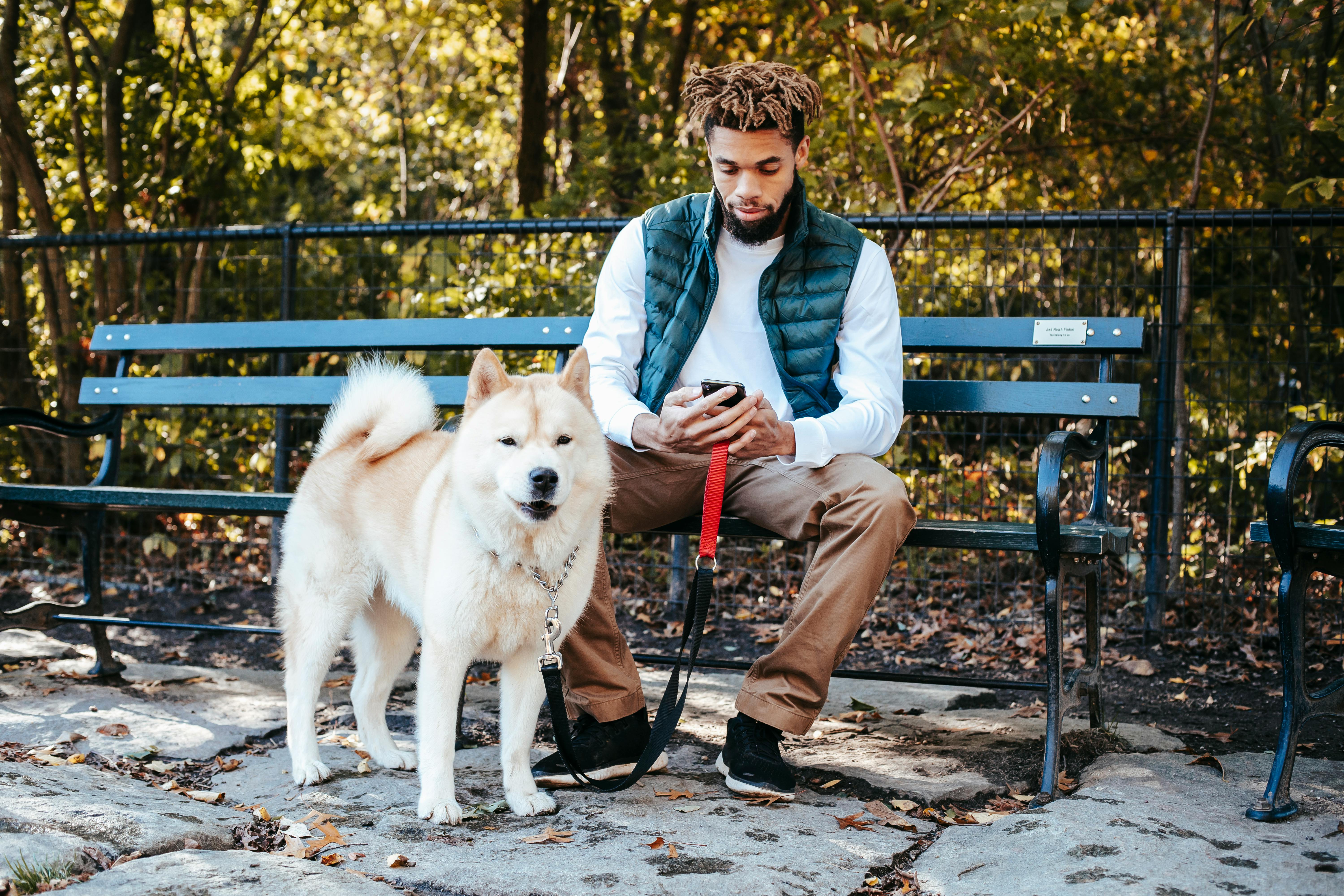 concentrated ethnic guy browsing smartphone while resting in park with obedient dog
