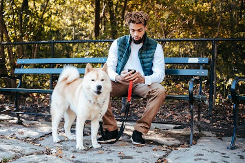 Concentrated ethnic guy browsing smartphone while resting in park with obedient dog