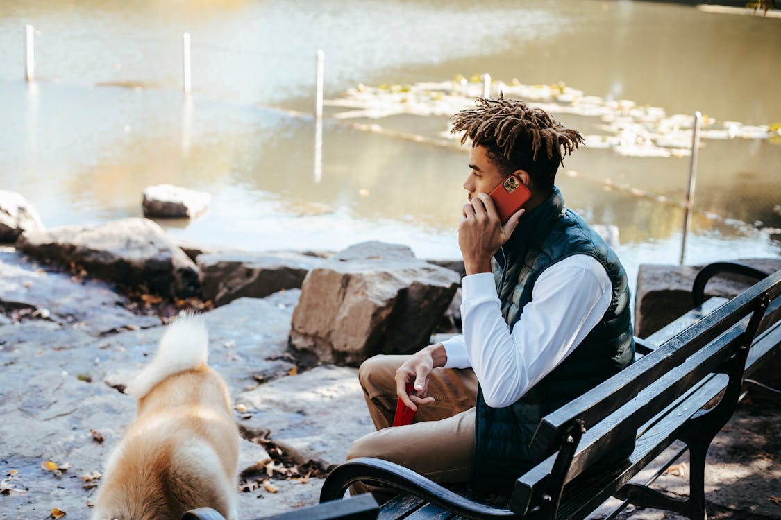 Free Side view of concentrated trendy young African American male with dreadlocks chilling on bench at lakeside with cute dog and having phone call Stock Photo