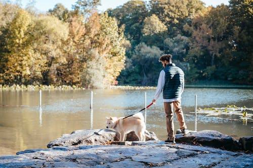 Anonymous man standing near pond with purebred dog during weekend in park