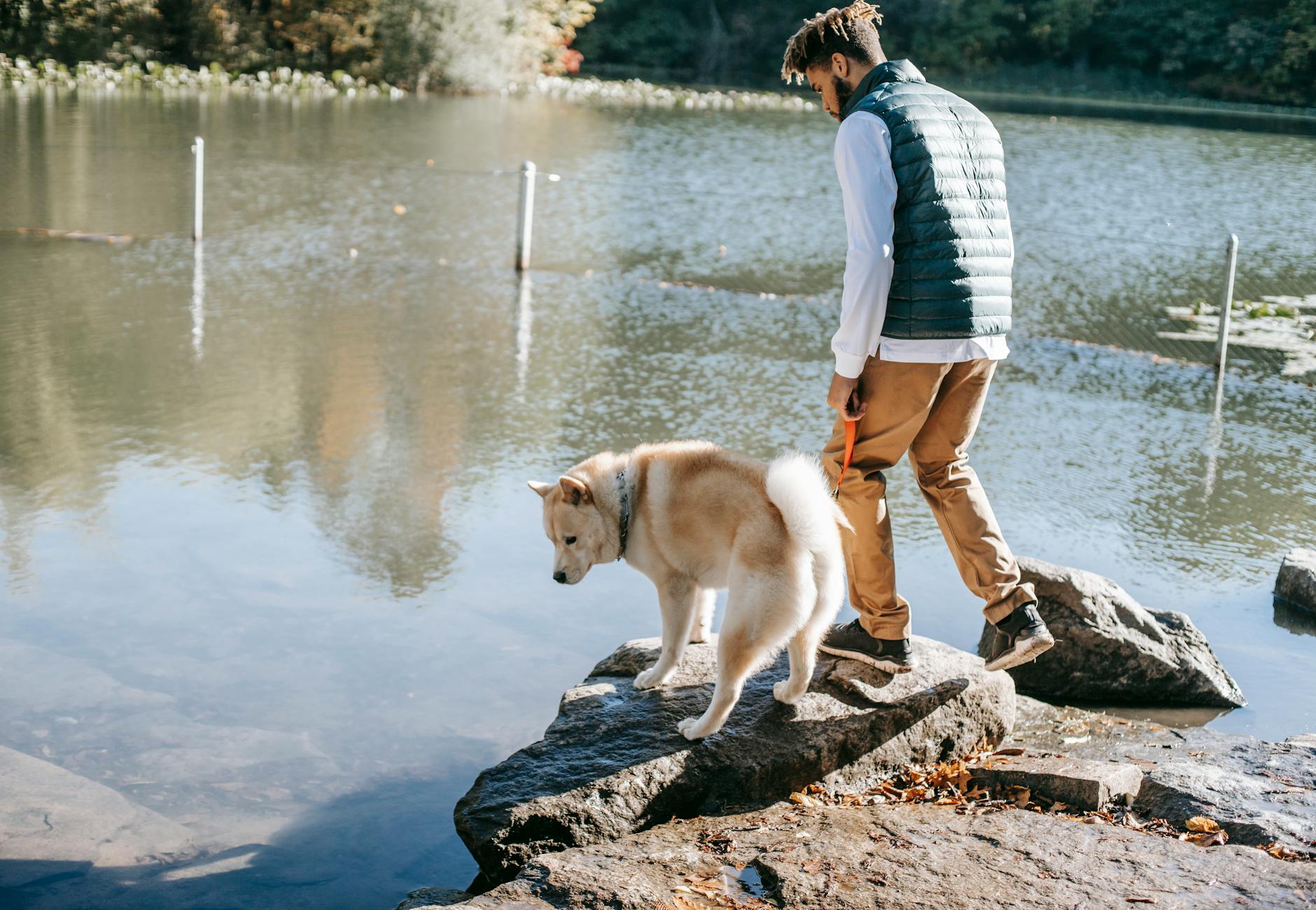 Shiba Inu volume plunges 49 percent: Are Whales Leaving SHIB?