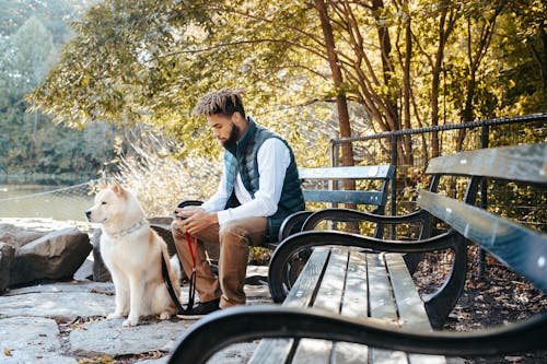 Cute dog sitting near a man using smartphone on bench in park