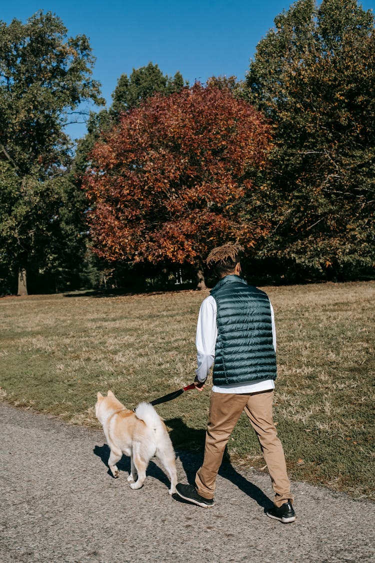 Anonymous Man Walking With Dog In Park