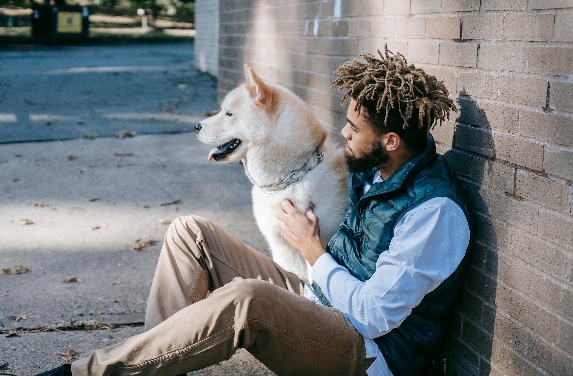 Side view of bearded African American male sitting on pavement with Akita Inu at brick wall on street in city