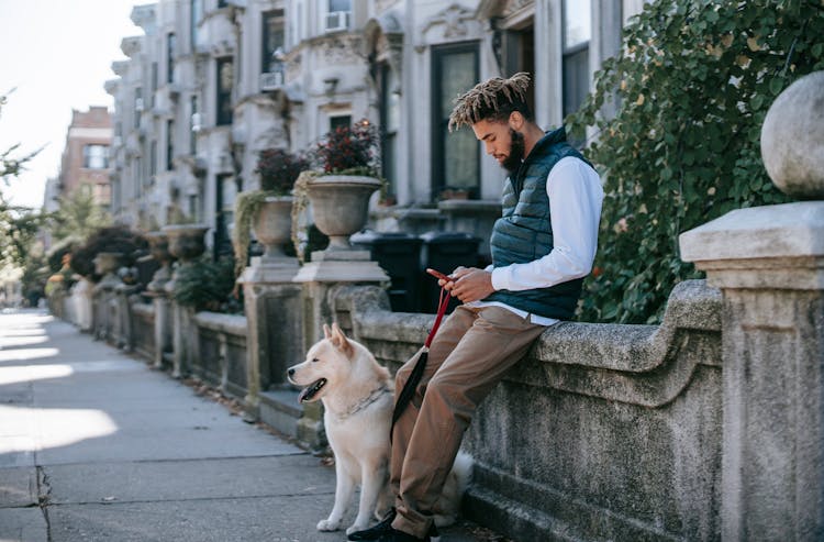 Black Man Browsing Smartphone Near Dog On Street