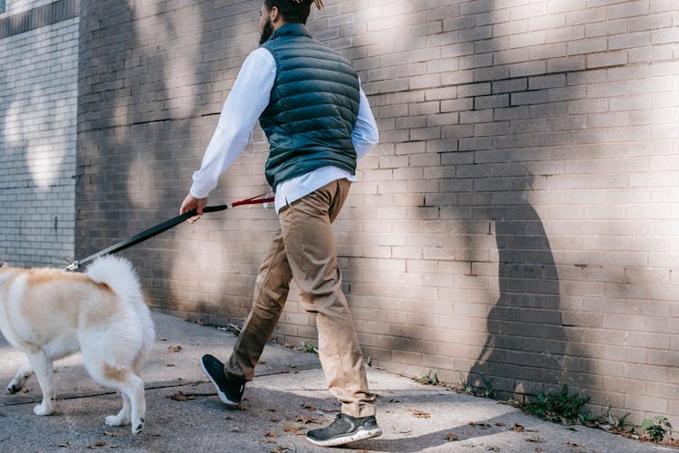 Crop Black Man Walking With Dog