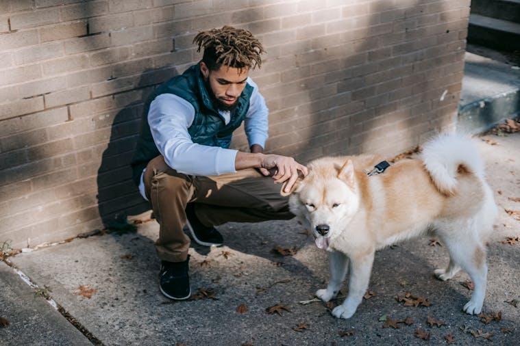A man with dreadlocks pets his Akita Inu dog outdoors on a sunny urban sidewalk.