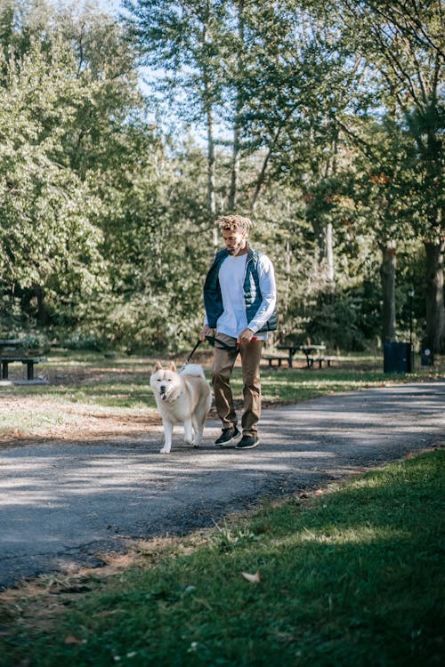 Free Man Walking A Dog On The Park At Daylight Stock Photo