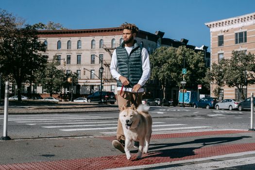 一位非裔美国男性牵着秋田犬，走在城市住宅楼间阳光明媚的街道人行横道上