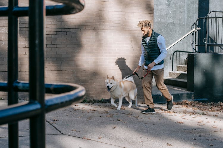 Black Man Walking Dog On Street