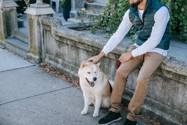 Crop Man Stroking Dog On Street