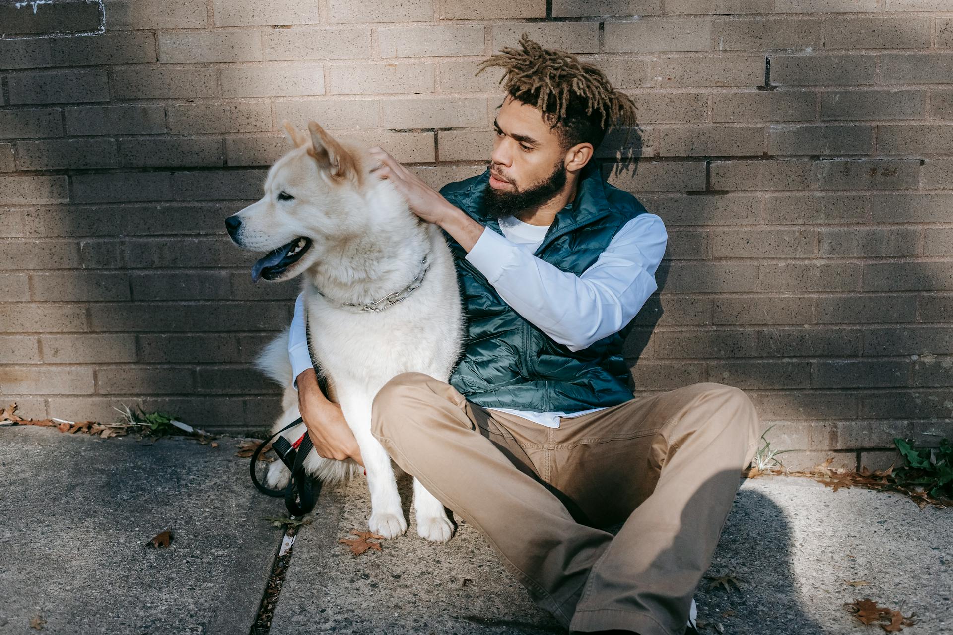 Serious African American male owner stroking Akita Inu dog while sitting on pavement near brick wall on city in street