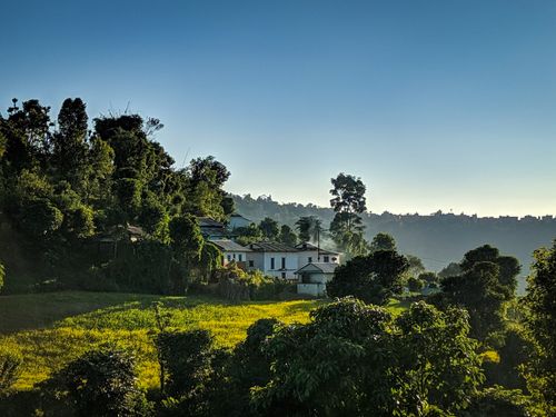 Free Tranquil countryside scene with lush greenery and village houses under a clear blue sky at sunrise. Stock Photo