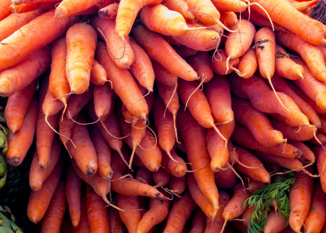 Free stock photo of carrots Stock Photo