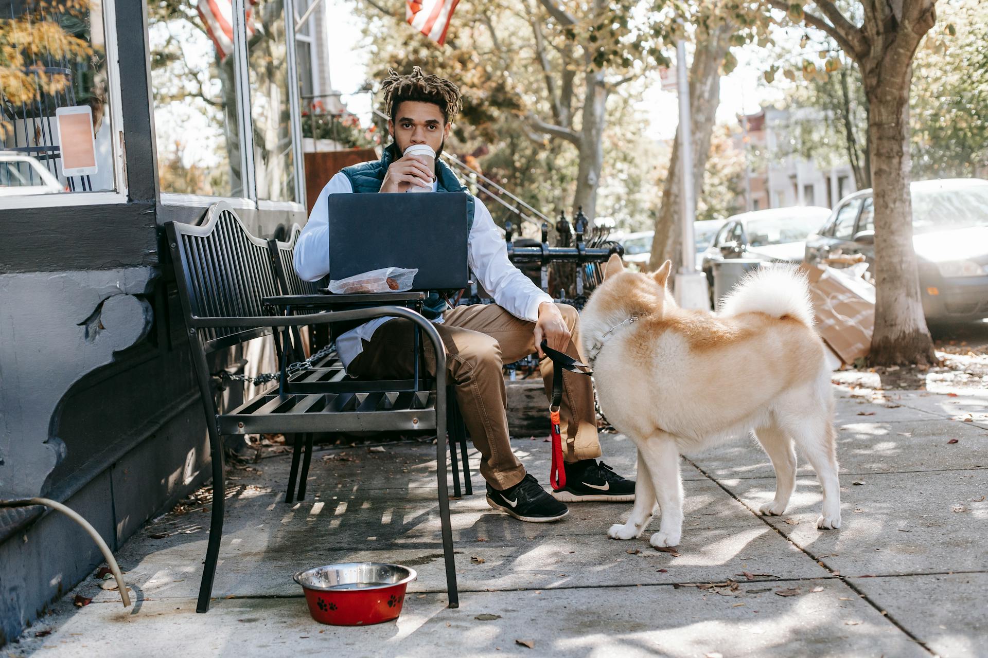 Full body of serious African American male sitting on bench with laptop near Akita Inu and drinking hot drink during online work on street