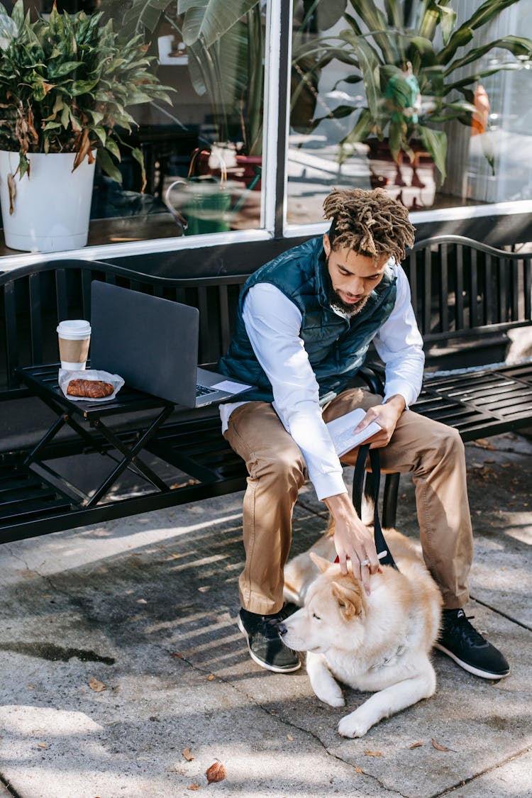 Black Man Stroking Dog While Sitting On Bench With Laptop